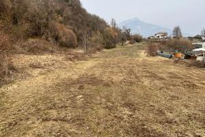 Terreno agricolo pianeggiante