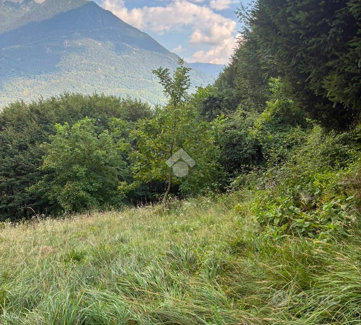 TERRENO A LOSINE - Vista 5