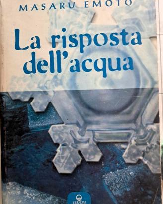 Libro di Masaru Emoto, La risposta dell'acqua