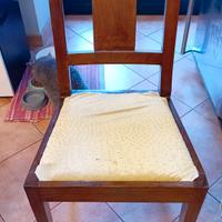 Sedia Design Cassina Gio Ponti  