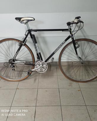 biciclette da passeggio ed mtb .