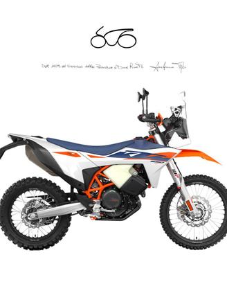 KTM 690 Enduro RALLY