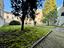 Immagine 11