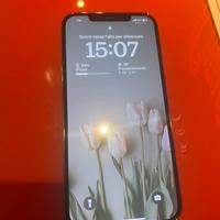 Iphone 12 pro max 256 gb
