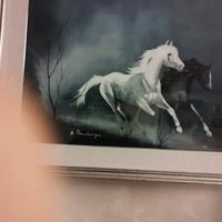 cavalli nella brughiera