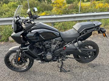 Pan America 1250 Special