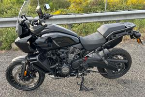 Pan America 1250 Special