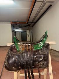 Scafarda (Cavalletto + Cuscini)Lamberto Bartolozzi