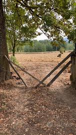 Terreno a Piandisco' Castelfranco