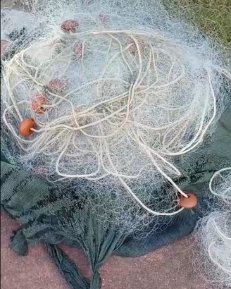 Rete da pesca