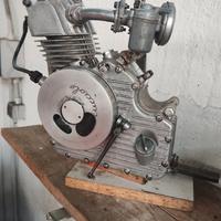 motore cucciolo ducati