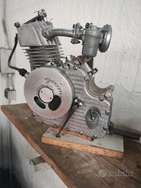 motore cucciolo ducati