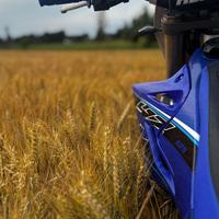 Yamaha YZ 125 - 2024