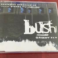 Cd Greedy Fly (Enchanged cd) Bush