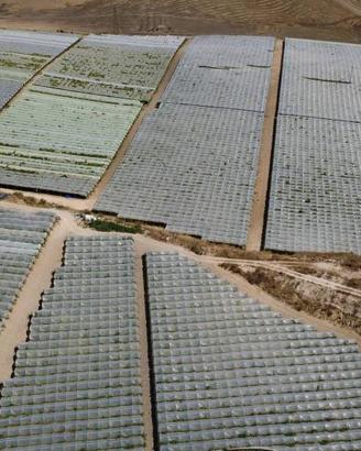 Attività / Licenza di 270000 m² a Canicattì