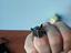 Immagine 2