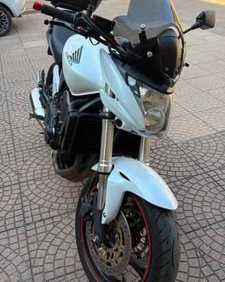 Honda CB 600F 2010. Hornet