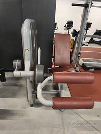 Leg Curl Technogym Selection