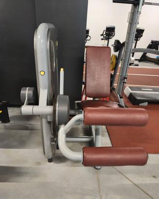 Leg Curl Technogym Selection