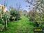 Immagine 15