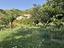 Immagine 7