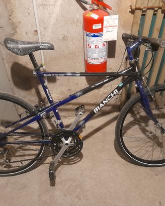 Bianchi Ragno