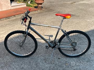 Bicicletta