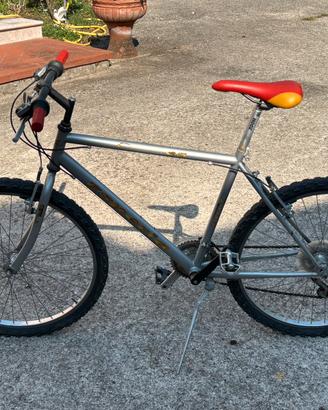 Bicicletta