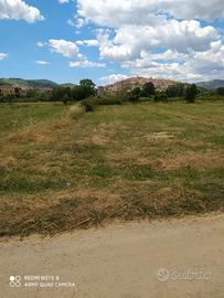 Terreno pianeggiante