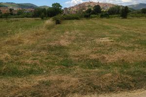 Terreno pianeggiante