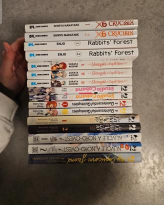 Lotto manga (8 titoli-16 volumi)