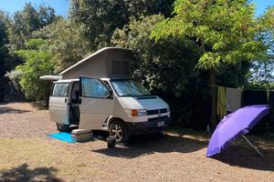 VW T4 California Westalia