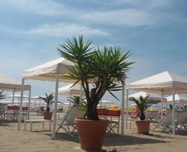 Viareggio x Settembre Ottobre fronte mare