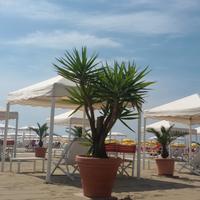 Viareggio Novembre Comics-Febbraio Carnevale