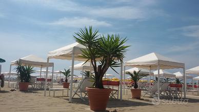 Viareggio Novembre Comics-Febbraio Carnevale