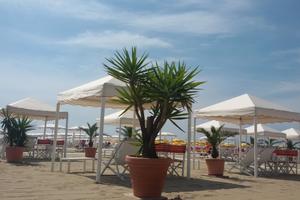 Viareggio Novembre Comics-Febbraio Carnevale