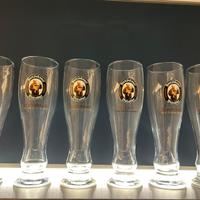 Bicchieri birra Franziskaner