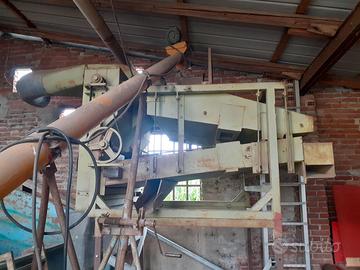 Coclee di varie misure