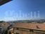 Immagine 7