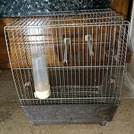 Gabbia zincata per uccelli