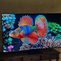 Samsung NEO QLED 55" Uhd 4k Comandi Vocali WiFi
