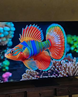 Samsung NEO QLED 55" Uhd 4k Comandi Vocali WiFi