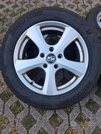 Gomme ivernali