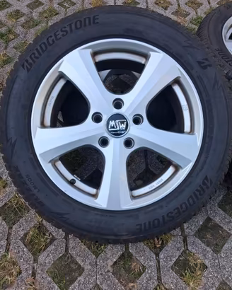 Gomme ivernali
