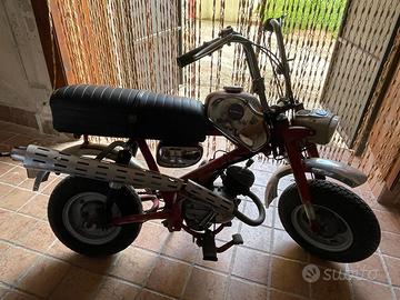 Benelli Minibike ....con amore !! Sanissimo .
