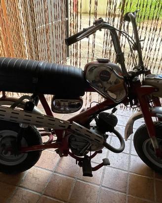 Benelli Minibike ....con amore !! Sanissimo .