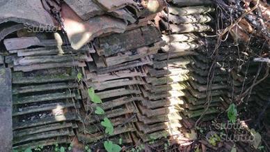 Tegola marsigliese salca calitri anni "70