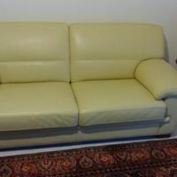 Divano e poltrona in pelle