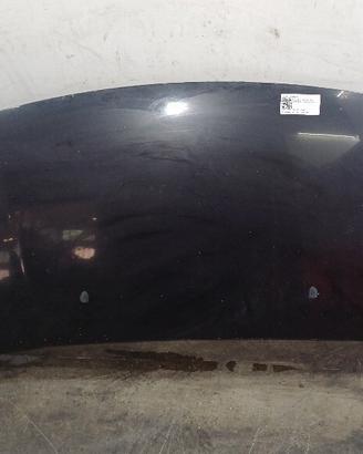 COFANO ANTERIORE CITROEN C3 Picasso 7901Q7 DV6TED4