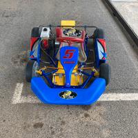 Go kart top kart baby 50 prezzo trattabile